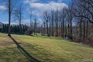 444 Windwood Lake Dr, Cape Girardeau, MO 63701 - Photo 43