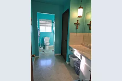 227 Rue Marne, Bonne Terre, MO 63628 - Photo 11