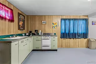 227 Rue Marne, Bonne Terre, MO 63628 - Photo 55