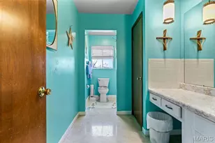 227 Rue Marne, Bonne Terre, MO 63628 - Photo 47