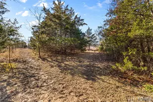 64 Mockingbird Ln, Hawk Point, MO 63349 - Photo 37