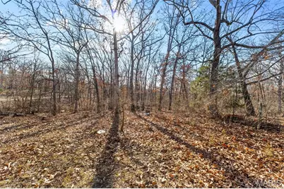 64 Mocking Bird Lane, Hawk Point, MO 63349 - Photo 27