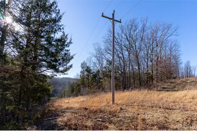 32 Hwy Yy, Cook Station, MO 65449 - Photo 45