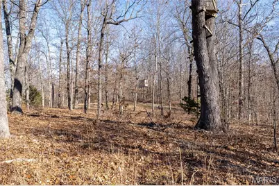 32 Hwy Yy, Cook Station, MO 65449 - Photo 41