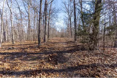 32 Hwy Yy, Cook Station, MO 65449 - Photo 29