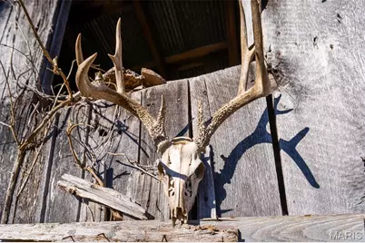 32 Hwy Yy, Cook Station, MO 65449 - Photo 53