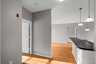 42 Kassebaum Lane #211, Saint Louis, MO 63129 - Photo 11