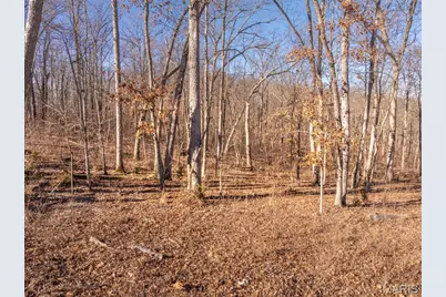 2832 Morgan Lake Drive, Innsbrook, MO 63390 - Photo 1