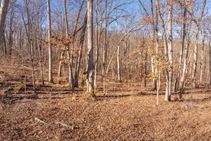 2832 Morgan Lake Dr, Innsbrook, MO 63390 - Photo 1