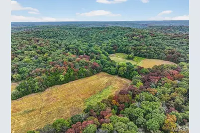 10+/-Ac Lot1 Circle Acres Drive, Marthasville, MO 63357 - Photo 5