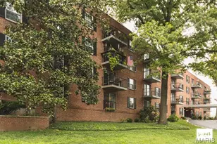 55 S Gore, Webster Groves, MO 63119 - Photo 3