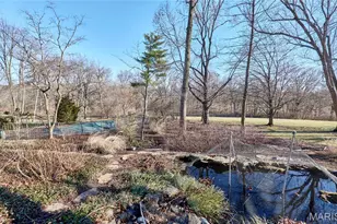 1652 Featherstone Dr, Town and Country, MO 63131 - Photo 49