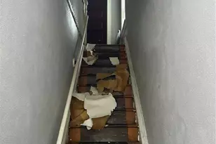 4210 Holly Ave, Saint Louis, MO 63115 - Photo 3