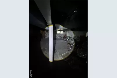 4210 Holly Avenue, Saint Louis, MO 63115 - Photo 39