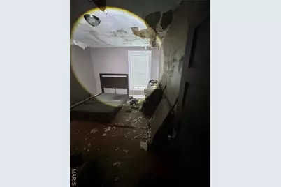 4210 Holly Avenue, Saint Louis, MO 63115 - Photo 27