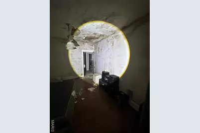 4210 Holly Avenue, Saint Louis, MO 63115 - Photo 23