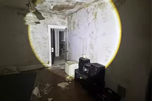 4210 Holly Ave, Saint Louis, MO 63115 - Photo 23