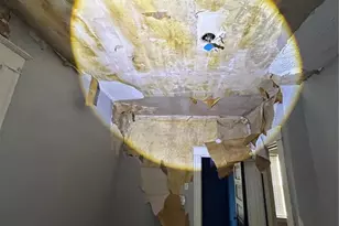 4210 Holly Ave, Saint Louis, MO 63115 - Photo 5