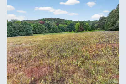 10+/-Ac Lot3 Circle Acres Drive, Marthasville, MO 63357 - Photo 17