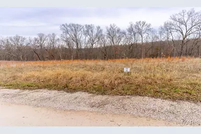 809 Sanctuary Farms Ridge Road, Festus, MO 63028 - Photo 35