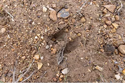 809 Sanctuary Farms Ridge Road, Festus, MO 63028 - Photo 25