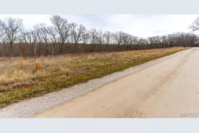 809 Sanctuary Farms Ridge Road, Festus, MO 63028 - Photo 37