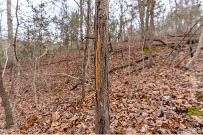 809 Sanctuary Farms Ridge Road, Festus, MO 63028 - Photo 23