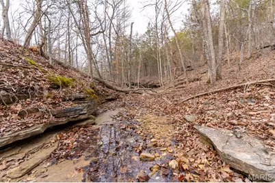 809 Sanctuary Farms Ridge Road, Festus, MO 63028 - Photo 19