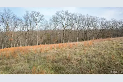 809 Sanctuary Farms Ridge Road, Festus, MO 63028 - Photo 29