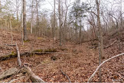 815 Sanctuary Farms Ridge Road, Festus, MO 63028 - Photo 17