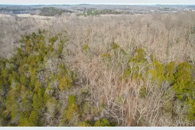 815 Sanctuary Farms Ridge Road, Festus, MO 63028 - Photo 13