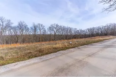 815 Sanctuary Farms Ridge Road, Festus, MO 63028 - Photo 33