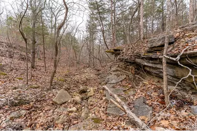 815 Sanctuary Farms Ridge Road, Festus, MO 63028 - Photo 21