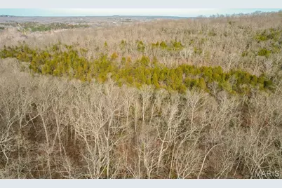 815 Sanctuary Farms Ridge Road, Festus, MO 63028 - Photo 11