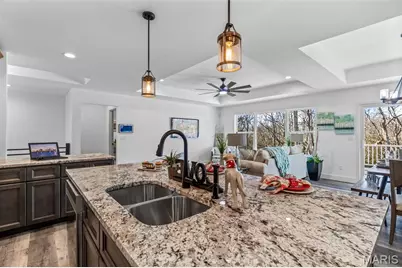 1665 Scenic Drive, Festus, MO 63028 - Photo 19