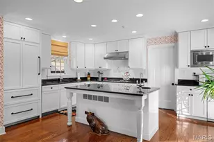 9928 Litzsinger Rd, Ladue, MO 63124 - Photo 13