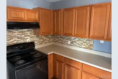 10194 Cloverdale Drive, Saint Louis, MO 63136 - Photo 3