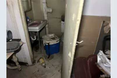 5226 Theodosia Avenue, Saint Louis, MO 63113 - Photo 13