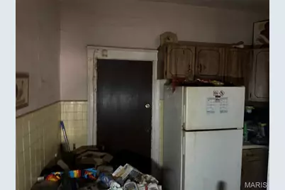 5226 Theodosia Avenue, Saint Louis, MO 63113 - Photo 11