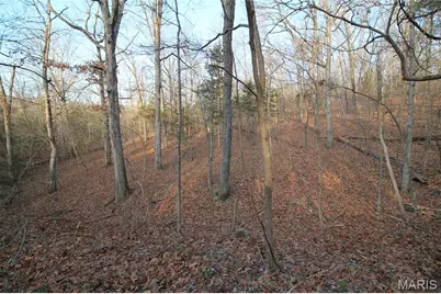 000 Glory Trail, De Soto, MO 63020 - Photo 27