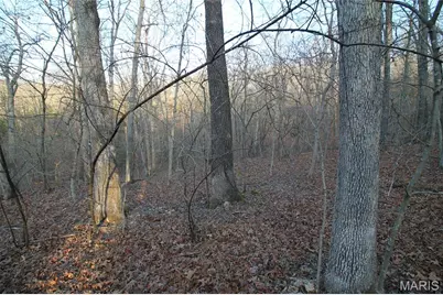 000 Glory Trail, De Soto, MO 63020 - Photo 21