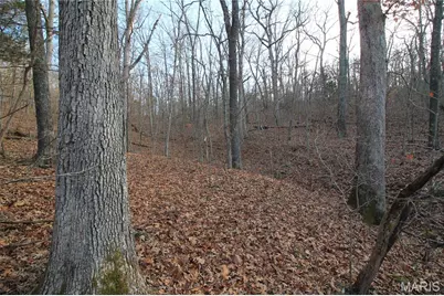 000 Glory Trail, De Soto, MO 63020 - Photo 25