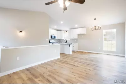 1123 Moulton Street, De Soto, MO 63020 - Photo 3