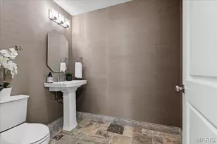 208 Lancaster Dr, Saint Louis, MO 63105 - Photo 57