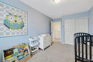 196 Tiber Way, Saint Charles, MO 63301 - Photo 27