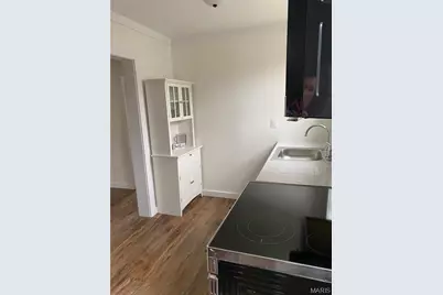 507 McKissock Street, De Soto, MO 63020 - Photo 23