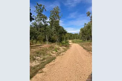 129 Madison Cr 410, Fredericktown, MO 63645 - Photo 3