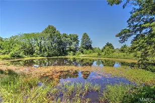 4710 Pike 451, Curryville, MO 63339 - Photo 23