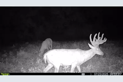 00 Highway D (77.2 +/- Acres ) Tract 1, New Melle, MO 63344 - Photo 53