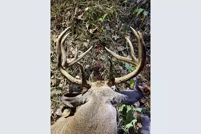 00 Highway D (77.2 +/- Acres ) Tract 1, New Melle, MO 63344 - Photo 67